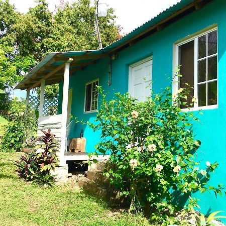 Easymans' Winifred Beach Chalets Port Antonio Bagian luar foto