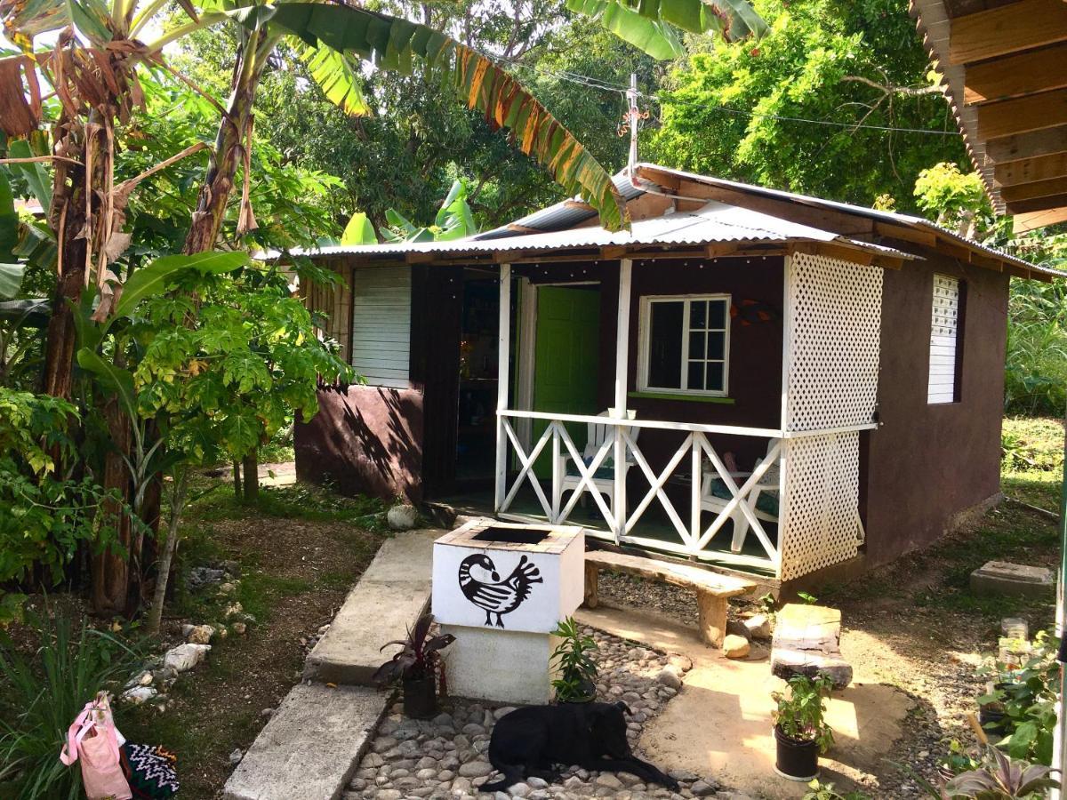 Easymans' Winifred Beach Chalets Port Antonio Bagian luar foto